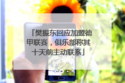 樊振东回应加盟德甲联赛，俱乐部称其十天前主动联系